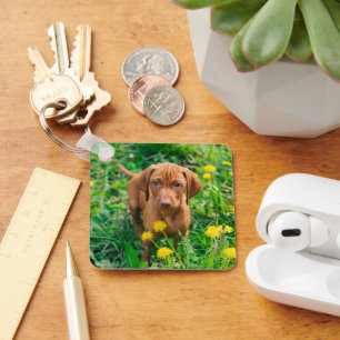Cutest Baby Animals Pointer Puppy Keychain