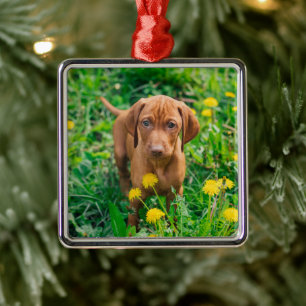 Cutest Baby Animals Pointer Puppy Metal Ornament