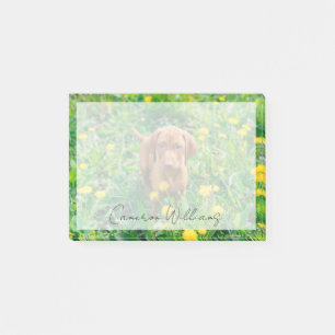 Cutest Baby Animals   Pointer Puppy Post-it Notes
