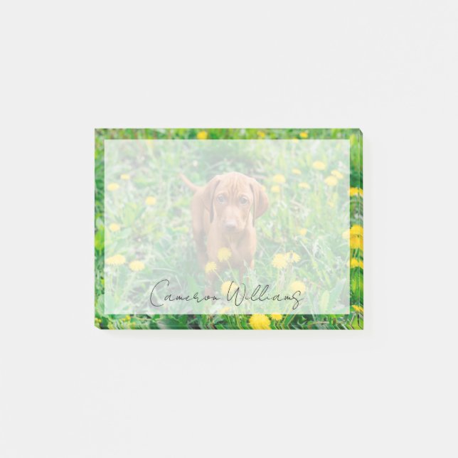Cutest Baby Animals | Pointer Puppy Post-it Notes (Front)