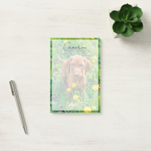 Cutest Baby Animals Pointer Puppy Post-it Notes