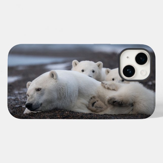 Cutest Baby Animals | Polar Bear Family Alaska Case-Mate iPhone Case (Back (Horizontal))
