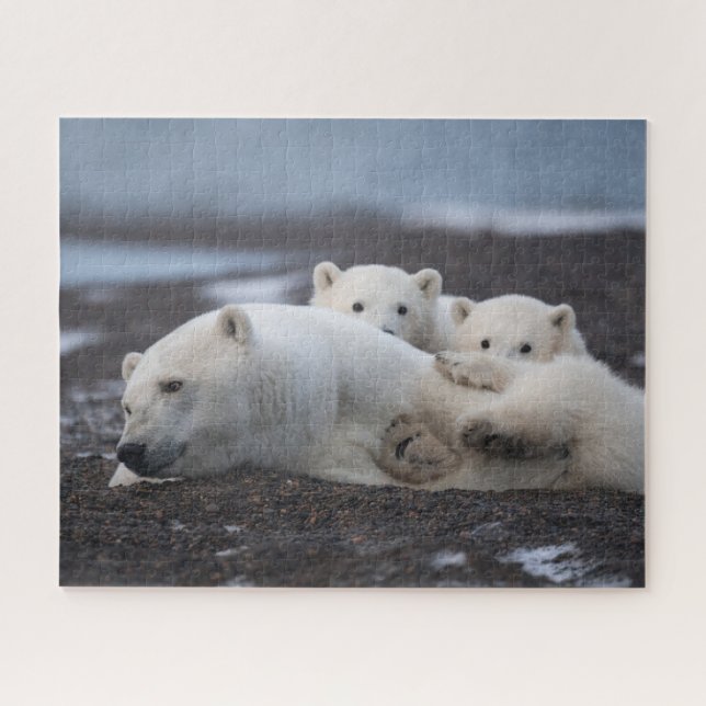 Cutest Baby Animals | Polar Bear Family Alaska Jigsaw Puzzle (Horizontal)