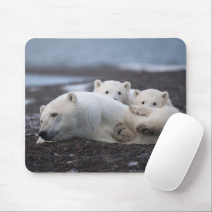 Cutest Baby Animals Polar Bear Family Alaska Mouse Pad
