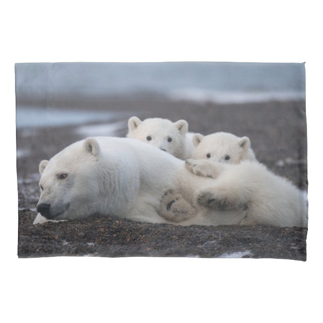 Cutest Baby Animals | Polar Bear Family Alaska Pillowcase (Front)