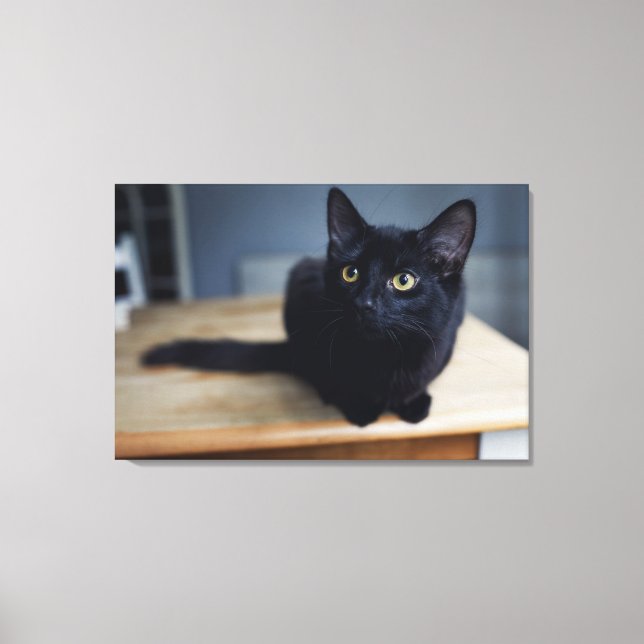 Cutest Baby Animals | Portrait of a Black Cat Canvas Print (Front)