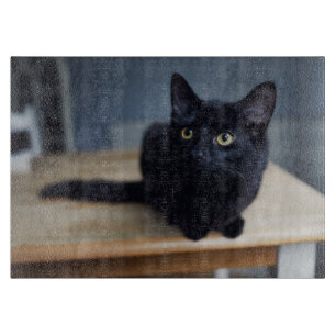 Cutest Baby Animals   Portrait of a Black Cat Cutting Board