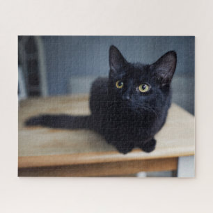 Cutest Baby Animals Portrait of a Black Cat Jigsaw Puzzle