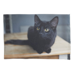 Cutest Baby Animals   Portrait of a Black Cat Pillowcase