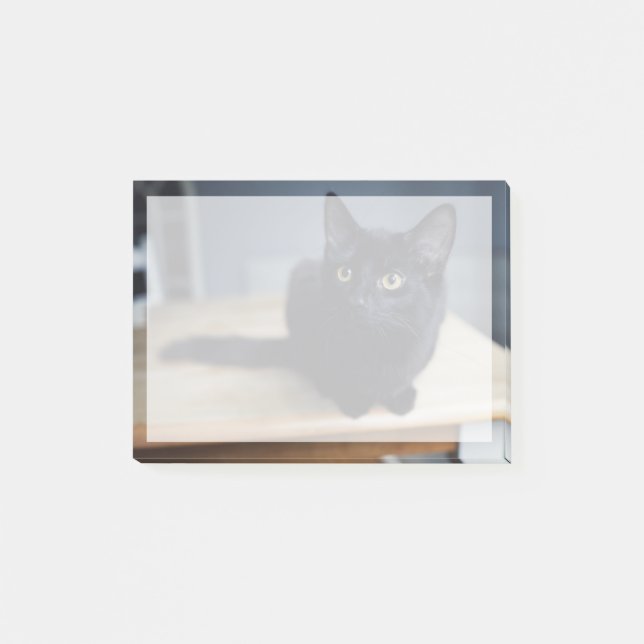 Cutest Baby Animals | Portrait of a Black Cat Post-it Notes (Front)
