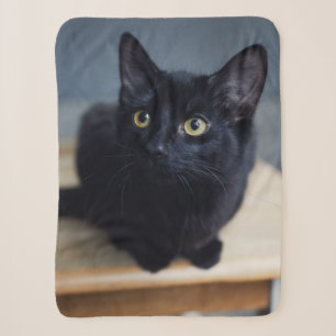 Cutest Baby Animals Portrait of a Black Cat Sherpa Blanket