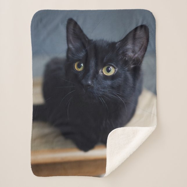 Cutest Baby Animals | Portrait of a Black Cat Sherpa Blanket (Front)