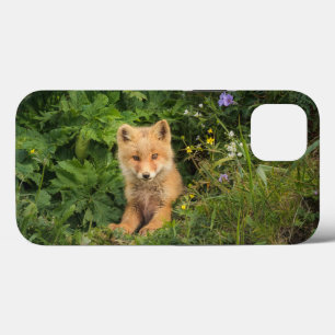 Cutest Baby Animals   Red Fox at Umnak Alaska iPhone 13 Case
