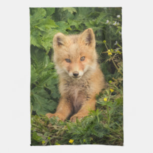 Cutest Baby Animals   Red Fox at Umnak Alaska Kitchen Towel