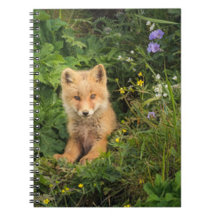 Cutest Baby Animals   Red Fox at Umnak Alaska Notebook
