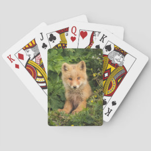 Cutest Baby Animals   Red Fox at Umnak Alaska Playing Cards