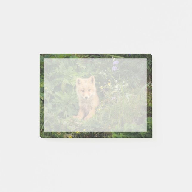 Cutest Baby Animals | Red Fox at Umnak Alaska Post-it Notes (Front)