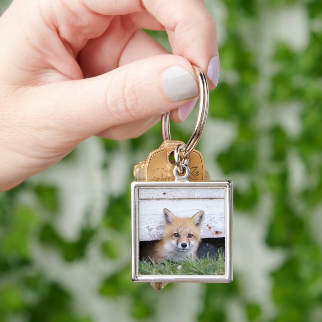 Cutest Baby Animals | Red Fox Kit Peeking Keychain (Hand)