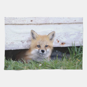 Cutest Baby Animals   Red Fox Kit Peeking Kitchen Towel