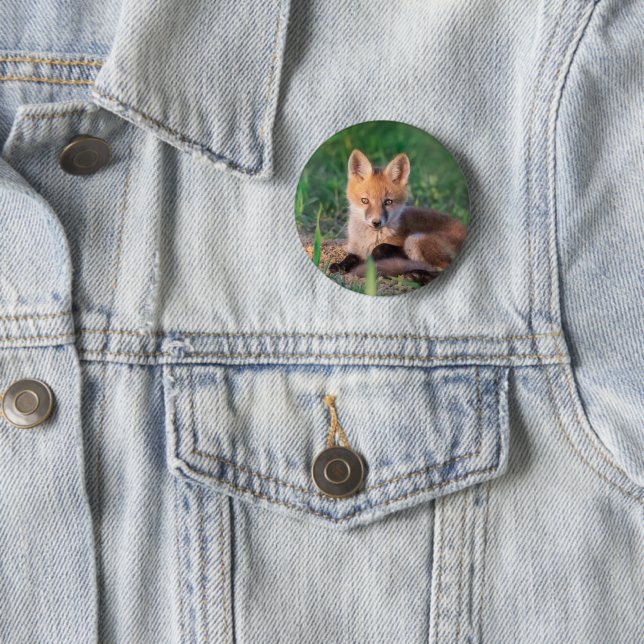 Cutest Baby Animals | Red Fox Kit Relaxing 2 Inch Round Button (In Situ)