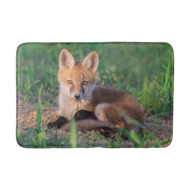 Cutest Baby Animals | Red Fox Kit Relaxing Bath Mat (Front)