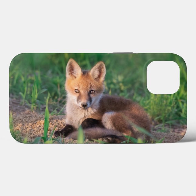 Cutest Baby Animals | Red Fox Kit Relaxing Case-Mate iPhone Case (Back (Horizontal))