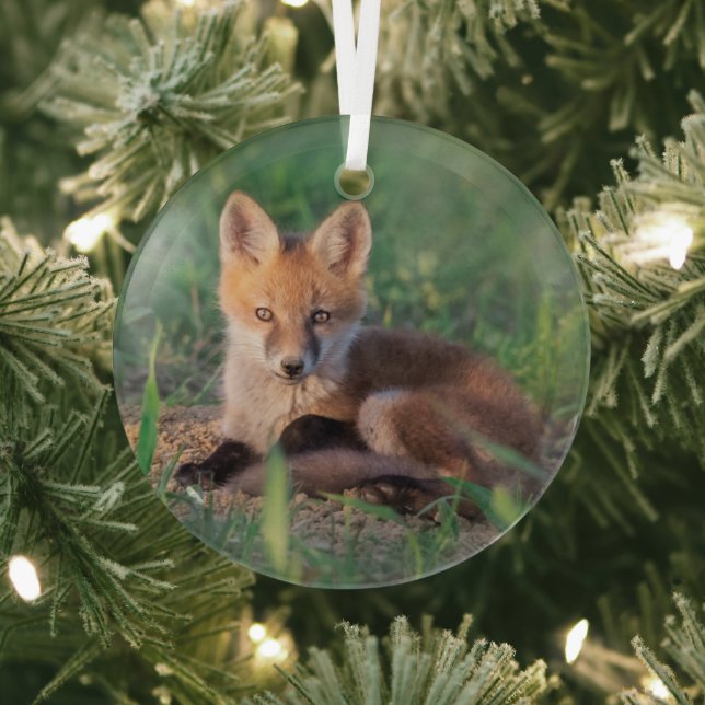 Cutest Baby Animals | Red Fox Kit Relaxing Glass Ornament (Insitu)