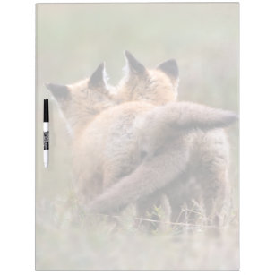 Cutest Baby Animals   Red Fox Kits Locking Tails Dry Erase Board
