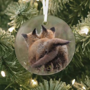 Cutest Baby Animals Red Fox Kits Locking Tails Glass Ornament