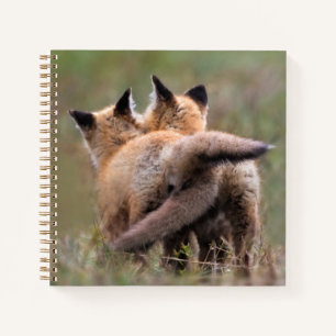 Cutest Baby Animals   Red Fox Kits Locking Tails Notebook
