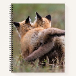 Cutest Baby Animals   Red Fox Kits Locking Tails Notebook