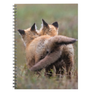 Cutest Baby Animals Red Fox Kits Locking Tails Notebook