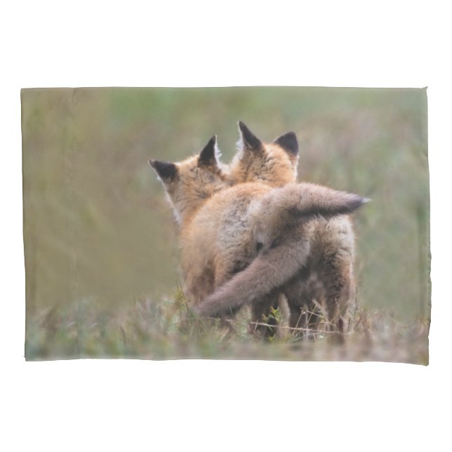 Cutest Baby Animals | Red Fox Kits Locking Tails Pillowcase (Front)