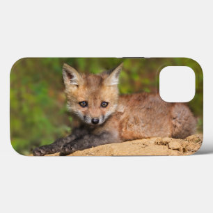 Cutest Baby Animals   Red Fox Pup iPhone 13 Case