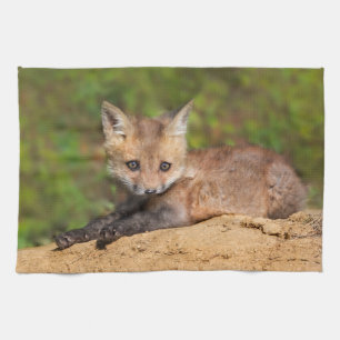 Cutest Baby Animals Red Fox Pup Kitchen Towel