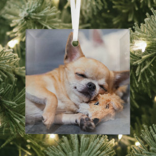 Cutest Baby Animals Red-haired Chihuahua Dog Glass Ornament