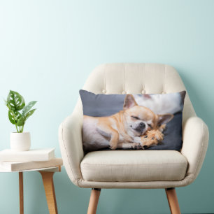 Cutest Baby Animals   Red-haired Chihuahua Dog Lumbar Pillow