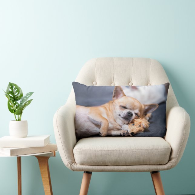 Cutest Baby Animals | Red-haired Chihuahua Dog Lumbar Pillow (Chair)