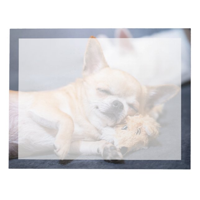 Cutest Baby Animals | Red-haired Chihuahua Dog Notepad (Front)