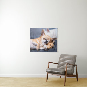 Cutest Baby Animals   Red-haired Chihuahua Dog Tapestry