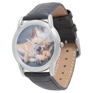 Cutest Baby Animals   Red-haired Chihuahua Dog Watch