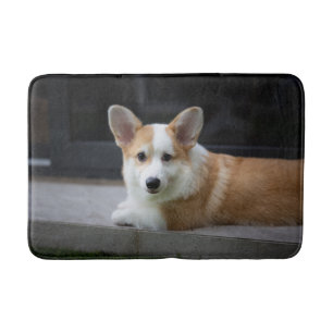 Cutest Baby Animals Relaxing Corgi Puppy Bath Mat