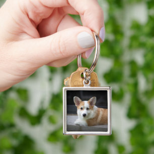 Cutest Baby Animals Relaxing Corgi Puppy Keychain
