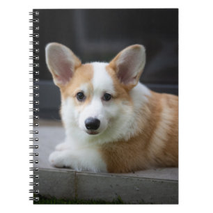 Cutest Baby Animals Relaxing Corgi Puppy Notebook