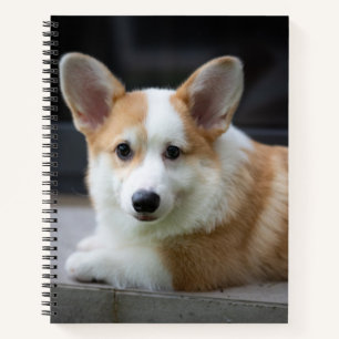 Cutest Baby Animals   Relaxing Corgi Puppy Notebook