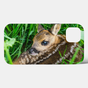 Cutest Baby Animals   Roe Deer Baby iPhone 13 Case