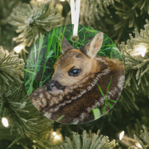 Cutest Baby Animals   Roe Deer Baby Glass Ornament
