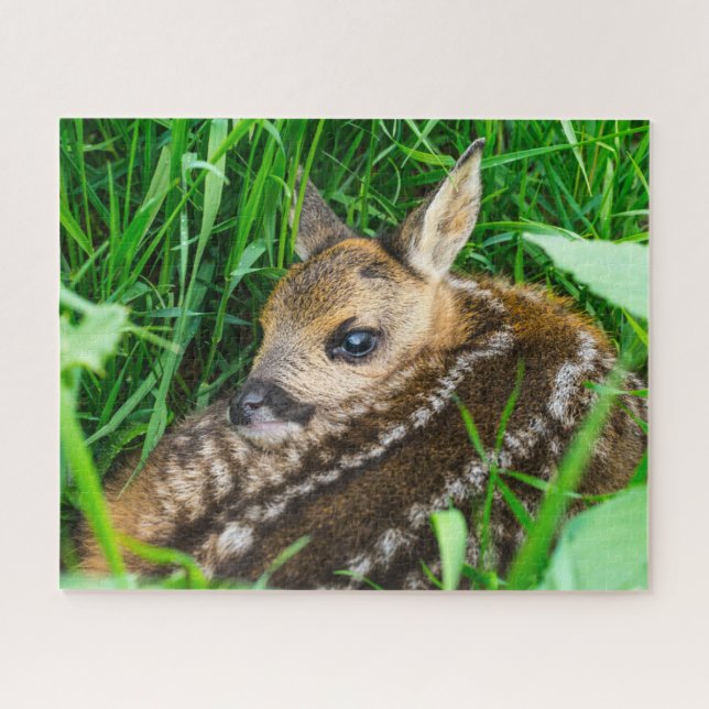 Cutest Baby Animals | Roe Deer Baby Jigsaw Puzzle (Horizontal)