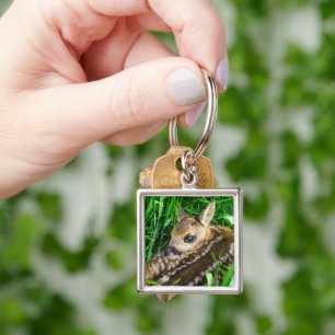 Cutest Baby Animals Roe Deer Baby Keychain