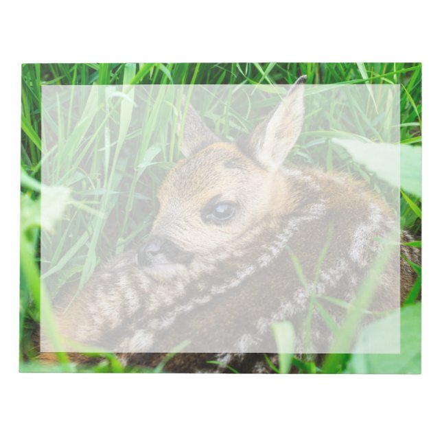 Cutest Baby Animals | Roe Deer Baby Notepad (Front)